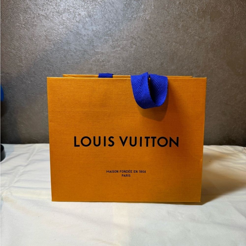 Louis Vuitton gift bag
